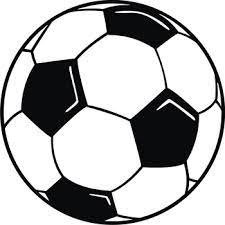 Sports Reports Autumn 2022